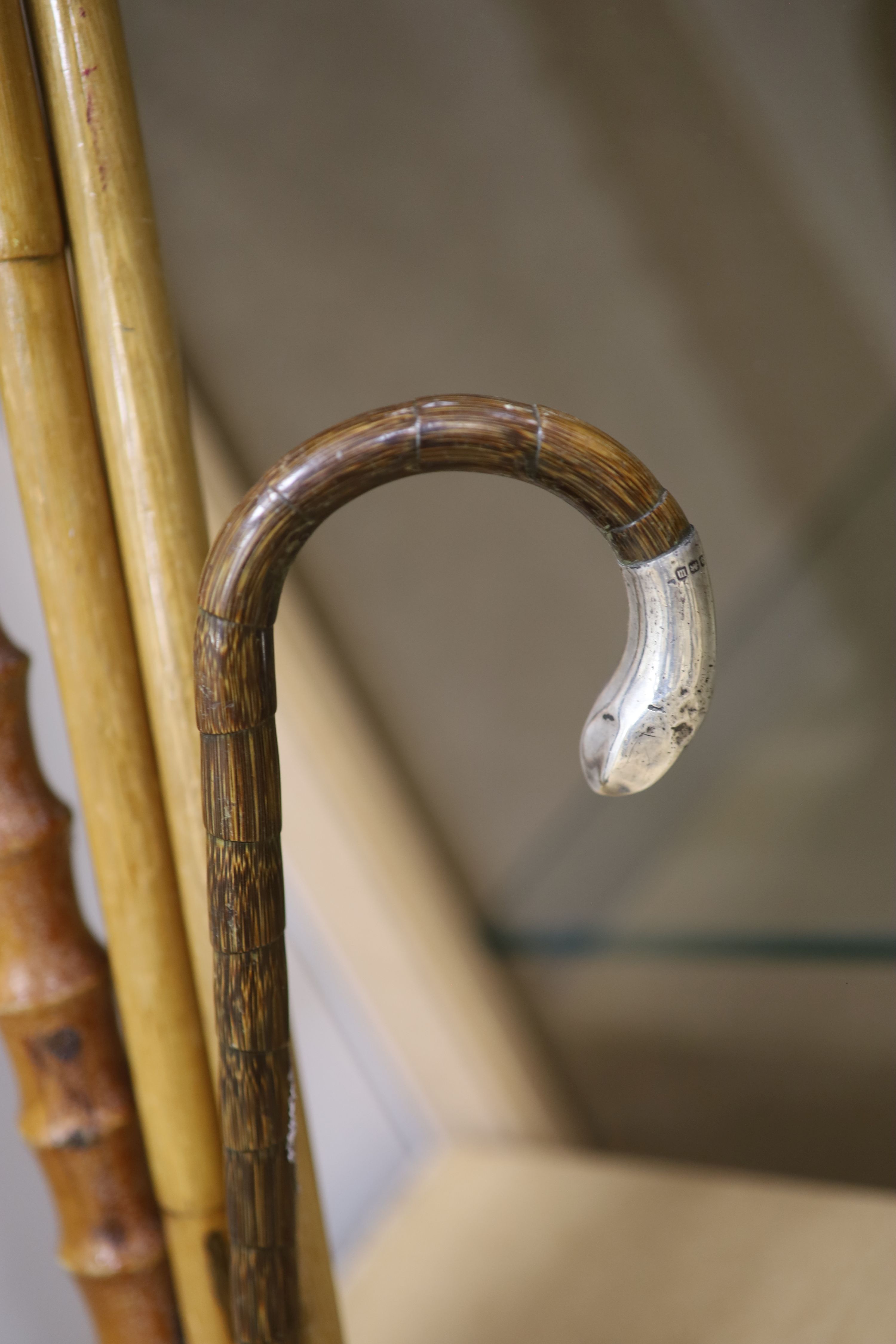 A collection of 7 cane/bamboo and silver-mounted walking sticks